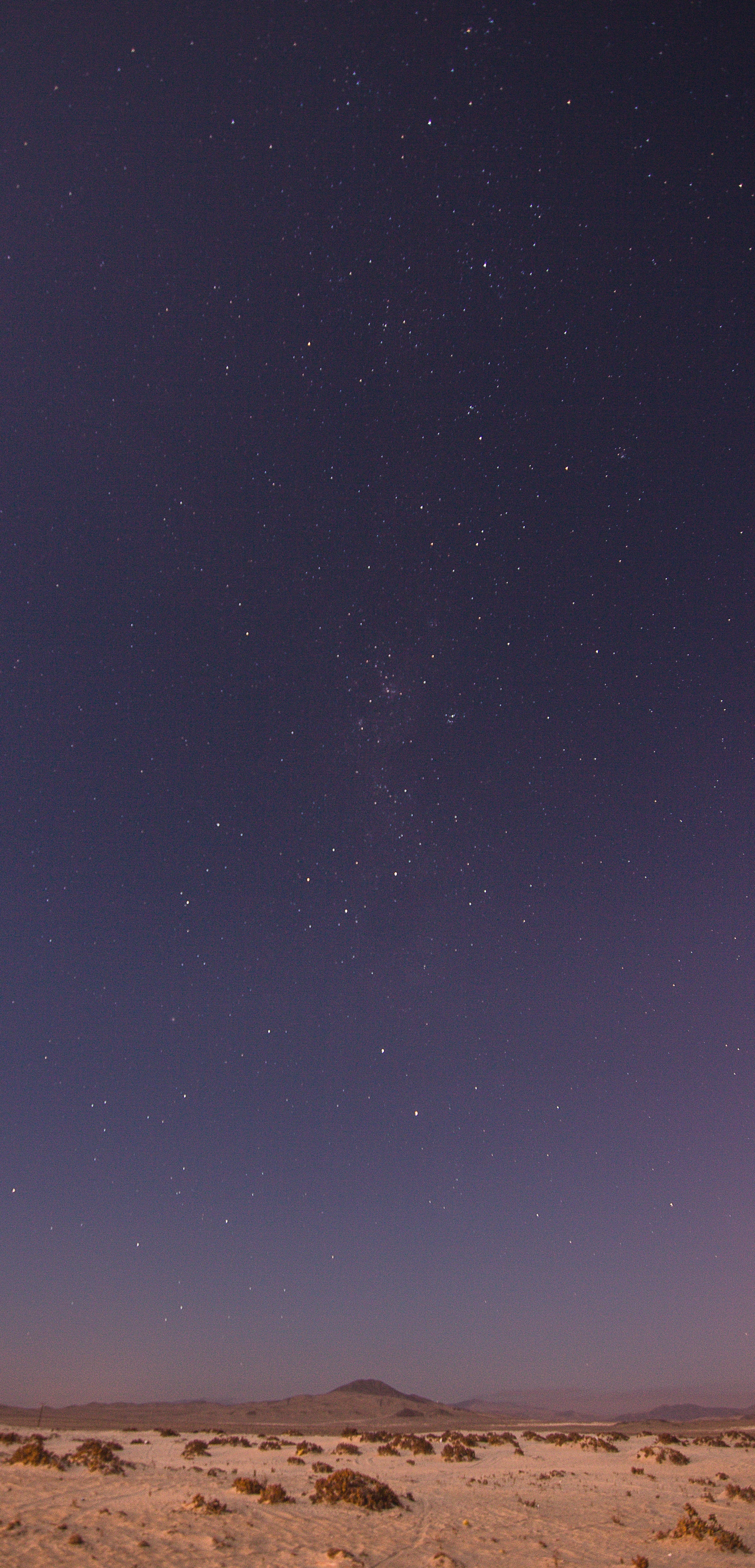 jorge-mulchi-cossio-637981-unsplash